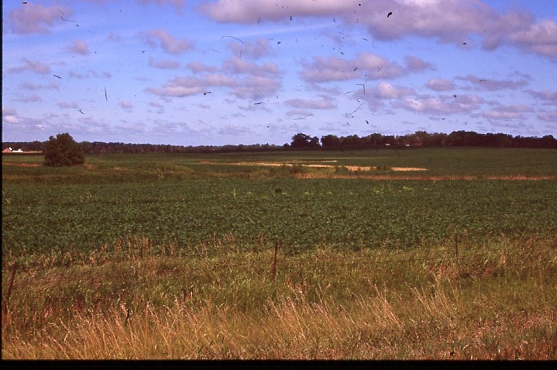 Farmland and Clear Skies.