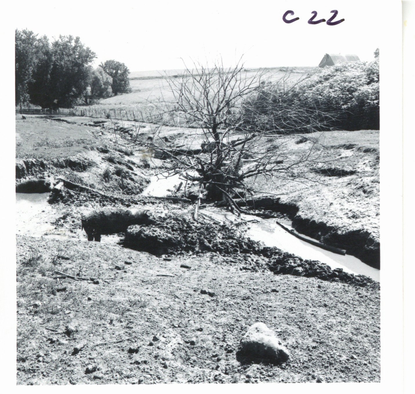 Gully on Joseph Gleason farm, 1969