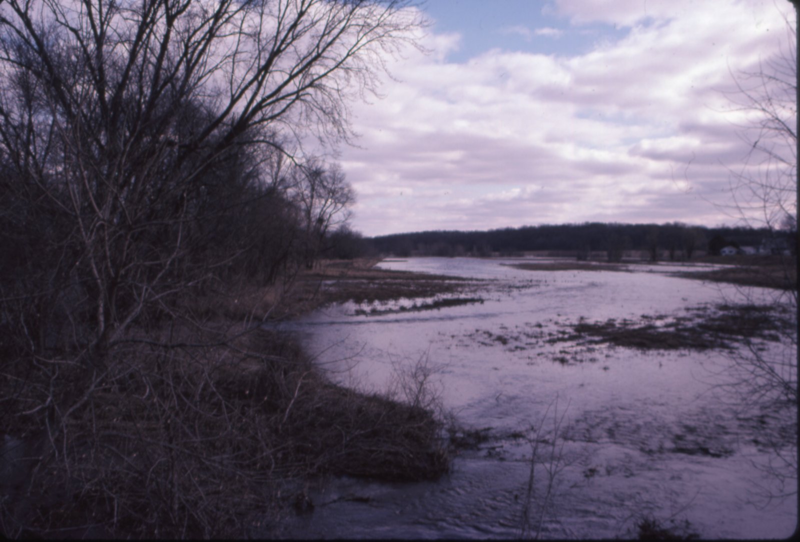 Flood area
