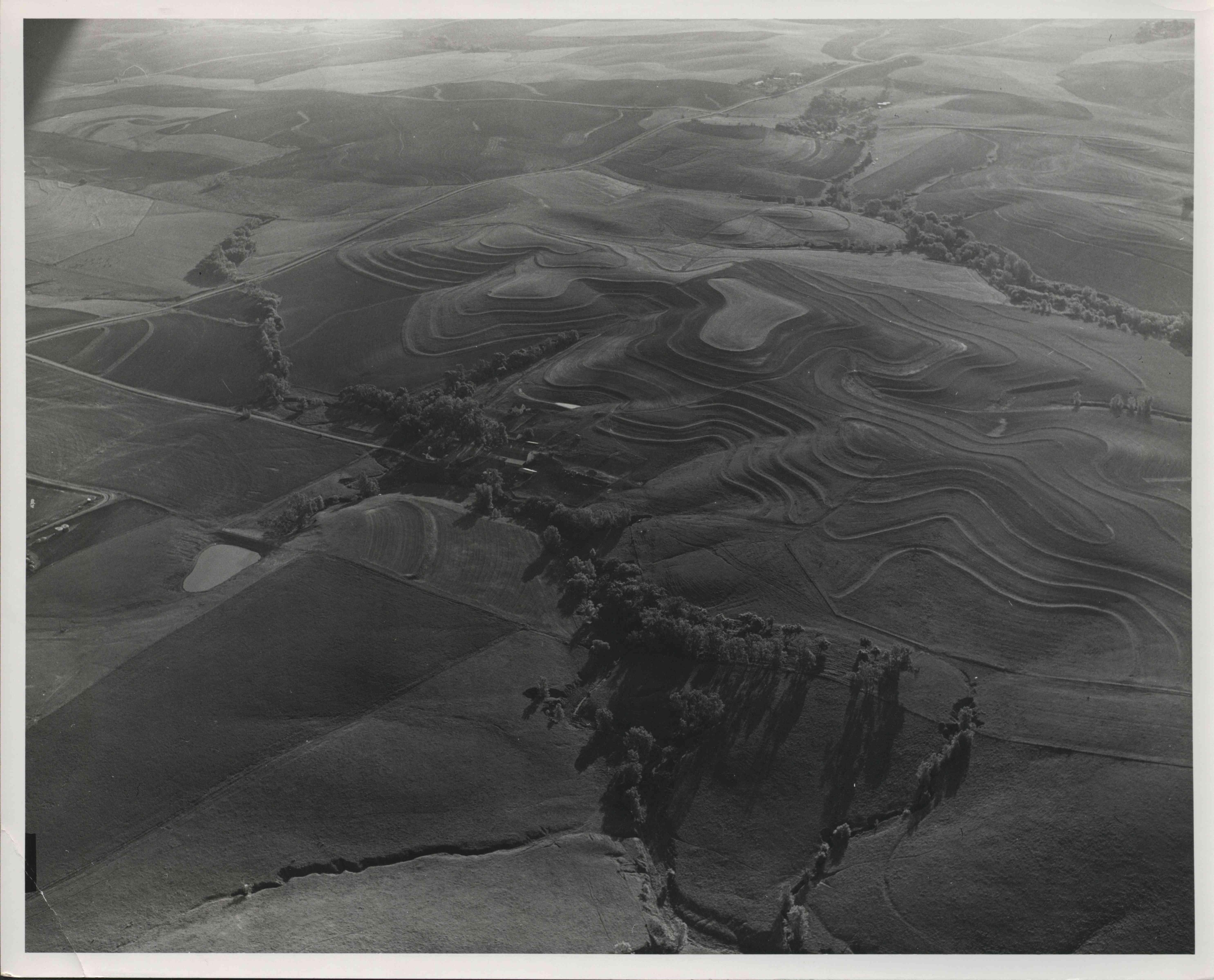 Contoured farmland aerial view