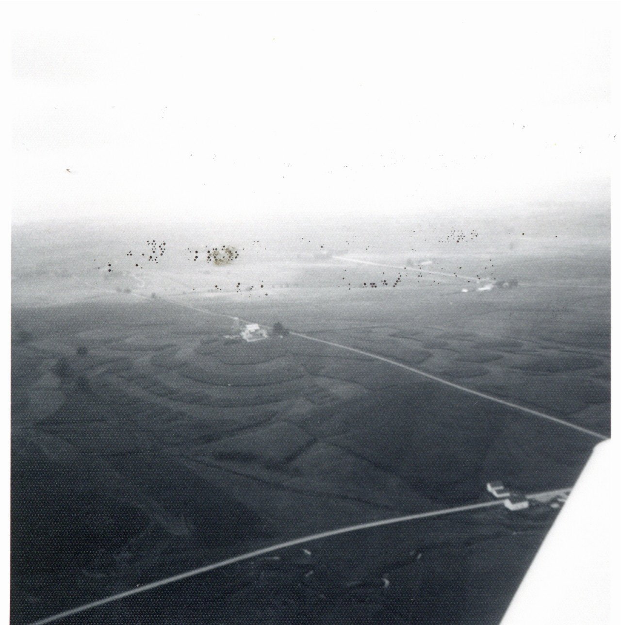 Don Gray's farm