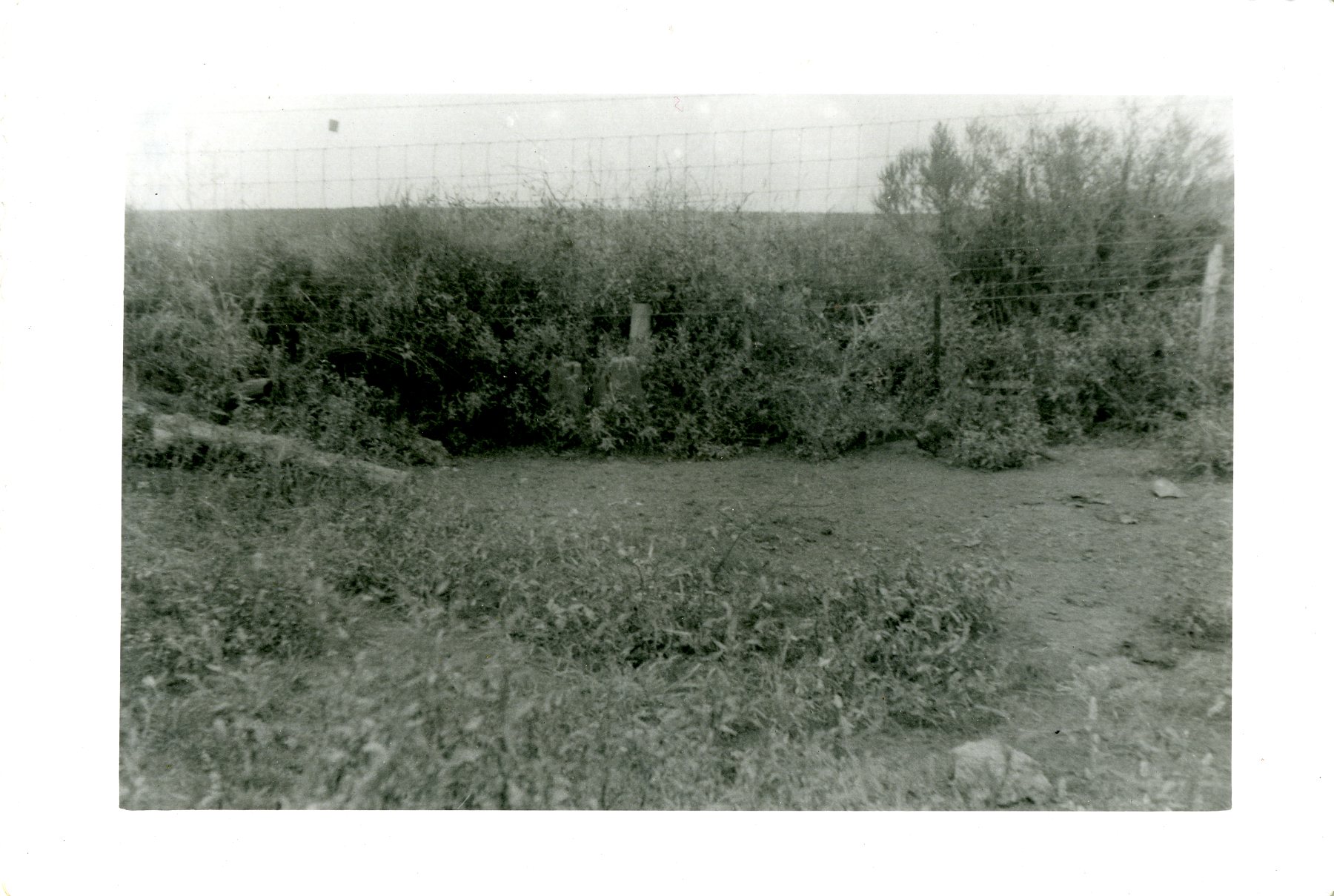 J.W. Robertson Farm, 1959