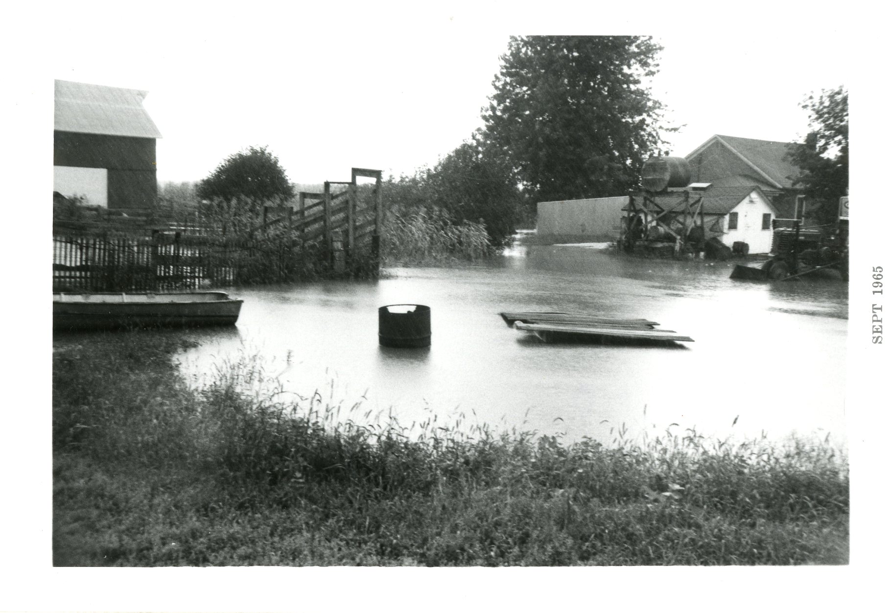 Elliots Farm 
