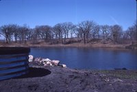 Pearson Lakes Art Center Site Location.