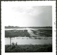 Flooded Field 