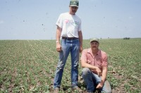 Quad District Award winners Steve and Tim Lundsgaard show off their no-till, drilled bean field.