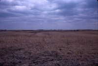 Larry Braby's Farm Before and After a Wetland Construction Project.