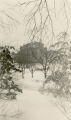 Memorial Union through the trees, 1935