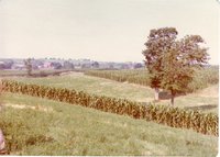 Strip Cropping in Maquoketa