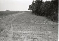 1995 Proposed Terracing Project site on Dale Edmonds' farm