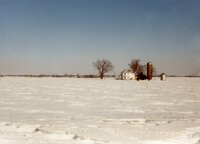 1990's Windbreak on a wintry day constructed by Consolidated Properties