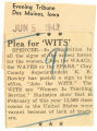 Plea for 'WITS'
