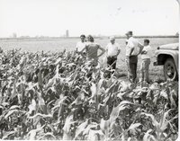 No_Till Tour