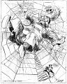 The spider and the fly.