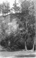 Cliff of Trenton Limestone in Cold Water Spring State Preserve, Bluffton, Iowa, late 1890s or early 1900s