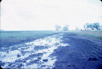 Waterway before tiles on G. Miller's farm.
