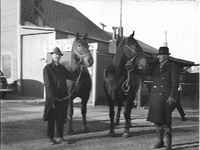 Malvern Sale Barn2