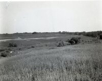 Grasslands and terracing in the distance