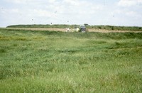 Water management farming practices on the Roepke farm.