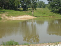 2007 Jack Strawhacker photos of ponds