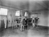 Cows in stocks at Stange Clinic, 1928