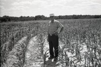 Man stands in grassy field