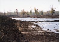 2002  Wetland Construction at Brockway LLLP