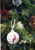 Christmas Tree displays