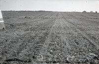 Miscellaneous Views of Crop Land