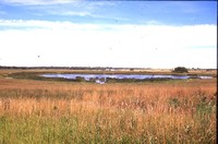 Larry Braby's Farm Before and After a Wetland Construction Project.