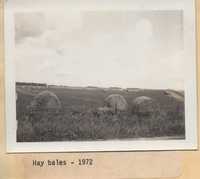 Hay Bales.