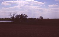 Wetland on the Wyatt Farm.