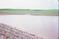 1986 Water in Fields