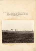 1937 - Wheat field with erosion