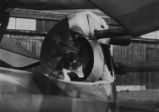 Delta Wing Photograph