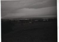 Unidentified Black and White Photo Negatives Showing Rural Scenes