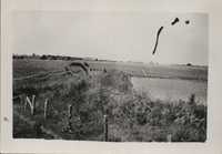 West pond on Bert Monroe's farm.