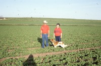 Quad State Award winners Frank and Marcia Escue farm.