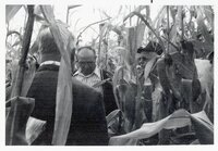 1978 No-till tours