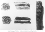 Pleistocene Fauna, horse teeth, Iowa, late 1890s or early 1900s