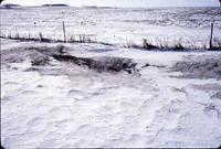 Snow in winter cover.