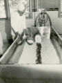 Making cottage cheese, 1930