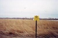 2001  Before wetland Project on Charles Poisel Property