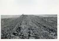 Photograph Collection Of Agricultural Land, 1973.