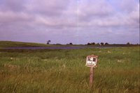 Wetland on the Seeman Farm.