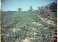 Views of Pasture and Grasslands