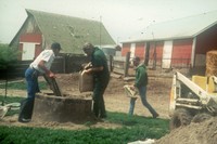 Forty ways of conservation in your community.