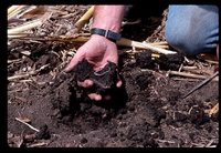 No Till Crops on Jared Herbert's Farm.