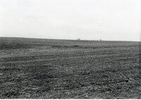 1970s Field after harvest