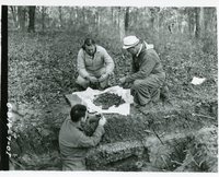 Soil survey correlation, 1969